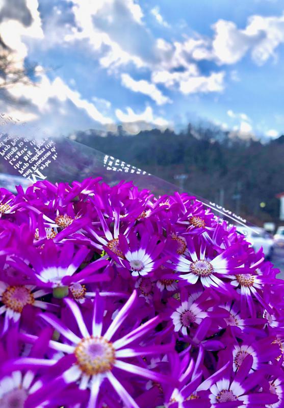 春分の日 休会です