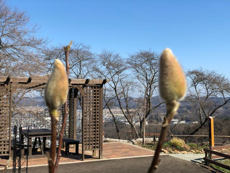 DVD研修「万人幸福の栞 第6条」