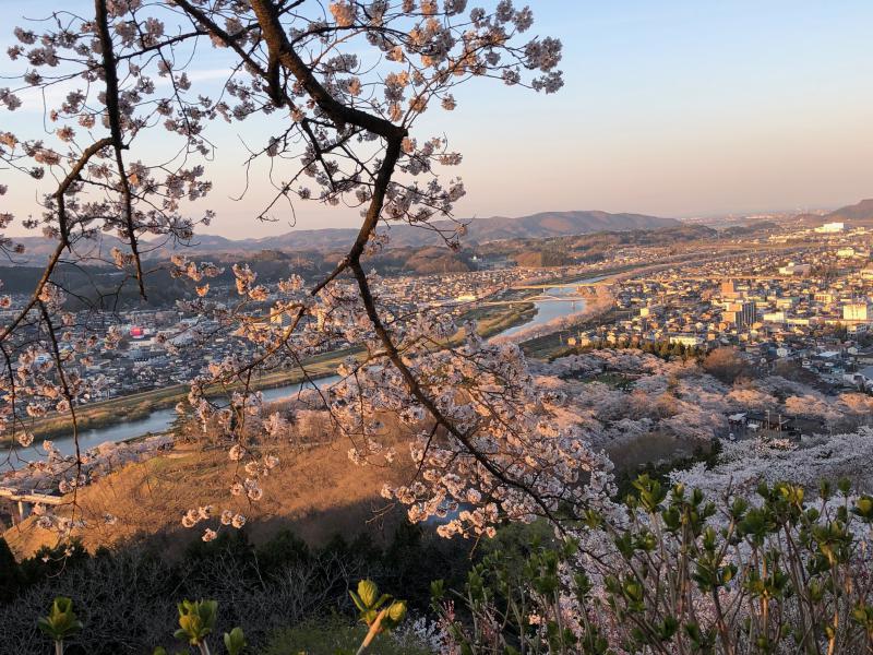 DVD研修　「万人幸福の栞　第7条」