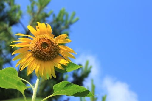 8月14日　夏休みです