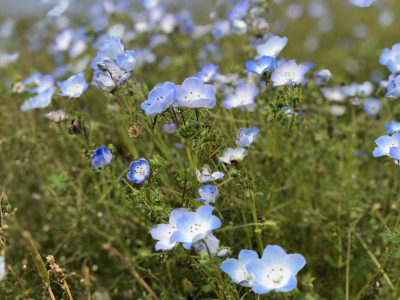 第596回　DVD研修　第9条「破約失福（はやくしっぷく）」