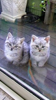 令和2年  ８月度 相双倫理法人会 役員会