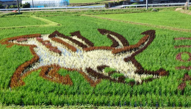 モーニングセミナー休会