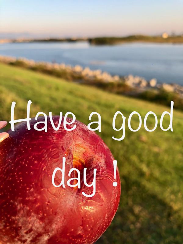 休会いたします「勤労感謝の日」