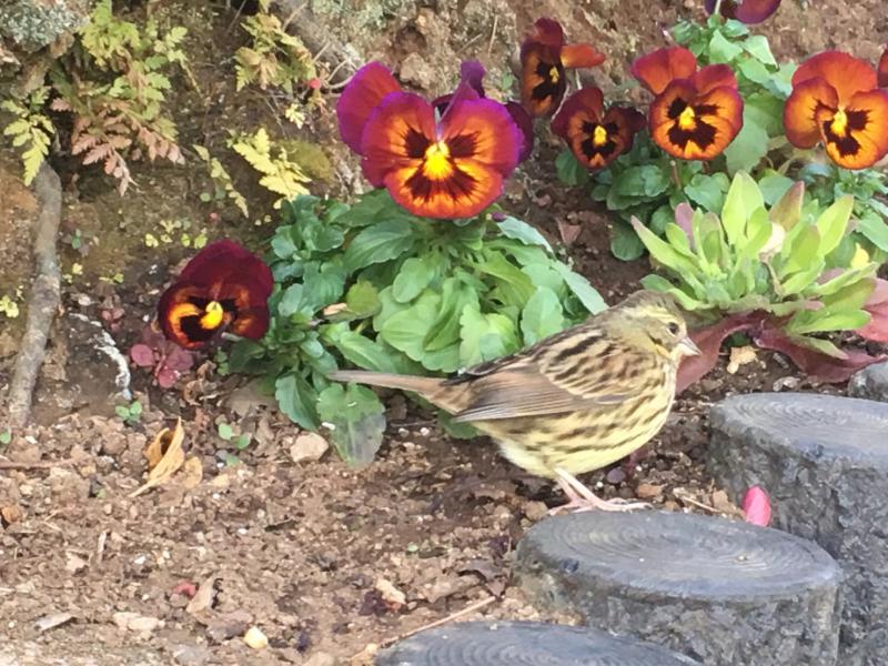 第258回 DVDセミナー 栞 第15条