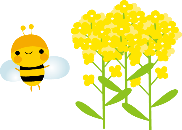 第531回　DVDセミナー　栞　第16条