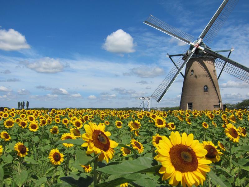 第543回  DVDセミナー　栞17条